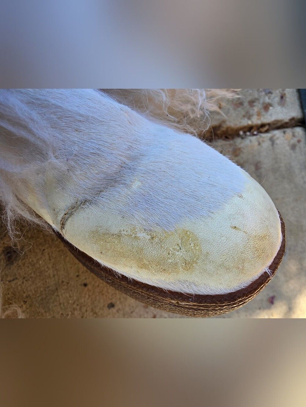 BearPaw Boetis ll Real White Lamb Fur Wool Lined Boots Womens Size 7 - Picture 13 of 15